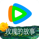梦幻西游5之再续前缘